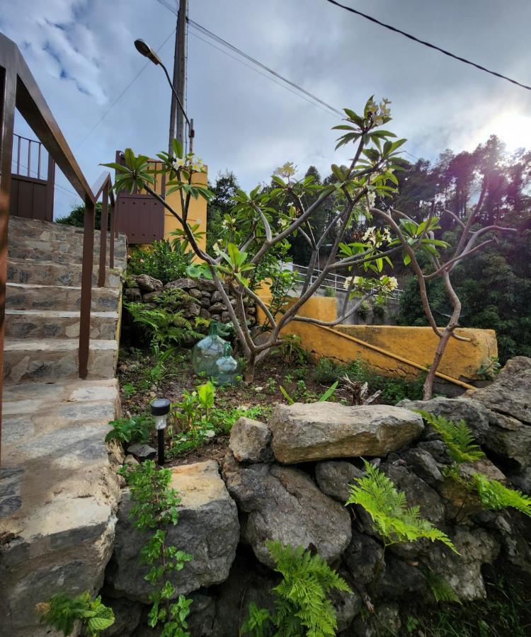 Vv Casa Muya Villa Icod De Los Vinos Exterior photo